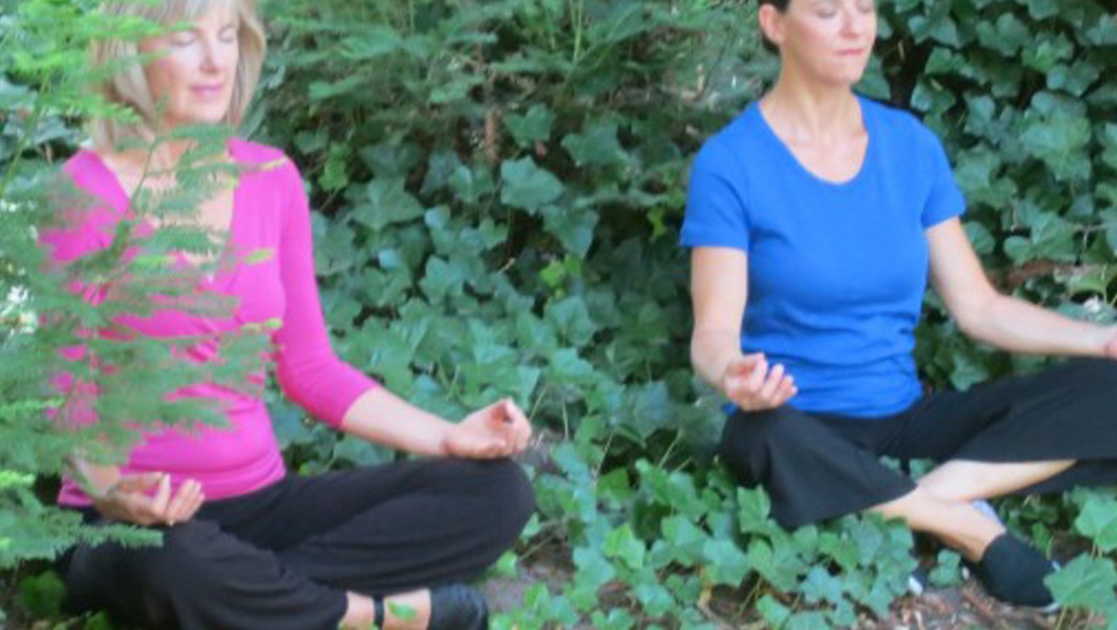 Holiday Healing Qigong 